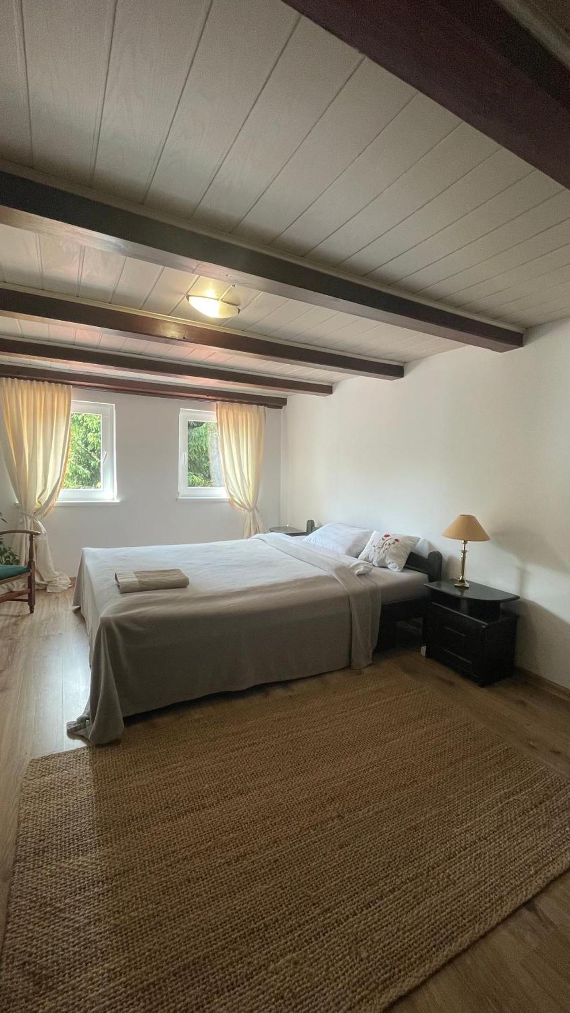 Dziejba Izerska Villa Giebultow  Ngoại thất bức ảnh